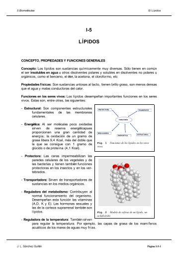 I-5 LÍPIDOS - IES Pando