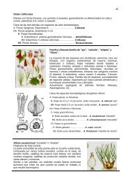 42 Orden Liliflorales Plantas con flores trímeras, con perianto 2 ...