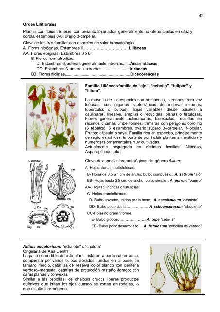 42 Orden Liliflorales Plantas con flores trímeras, con perianto 2 ...
