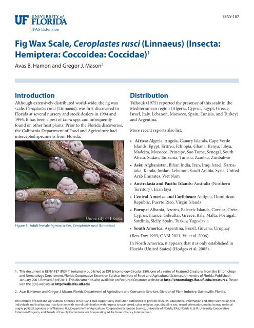 Fig Wax Scale, Ceroplastes rusci - EDIS - University of Florida