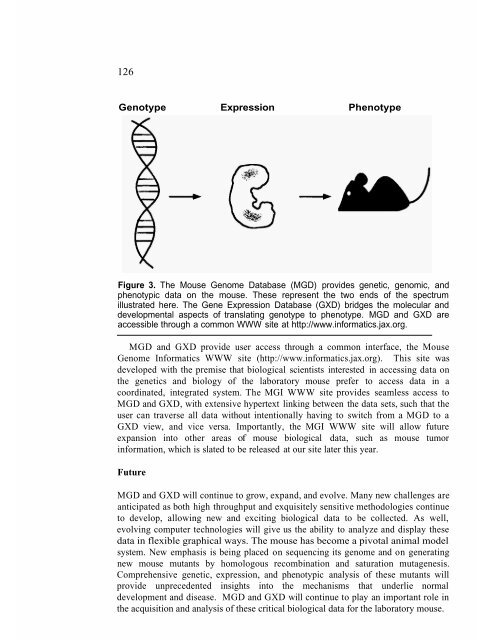 Databases and Systems