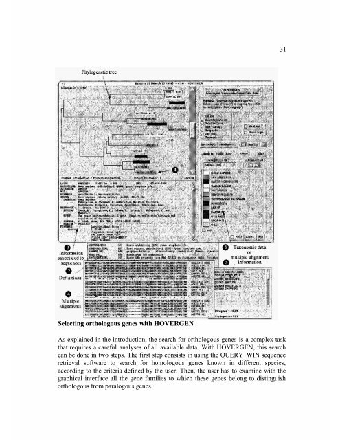 Databases and Systems