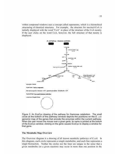 Databases and Systems