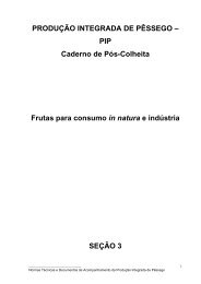 Caderno de Pós-Colheita PI Pêssego