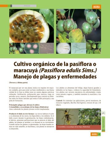 Cultivo orgánico de la pasiflora o maracuyá (Passiflora edulis Sims.)