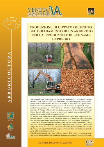 produzione di cippato ottenuto dal diradamento di un arboreto per la ...