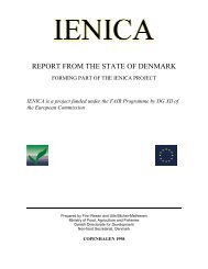 Full Report - IENICA. Interactive European Network for Industrial ...