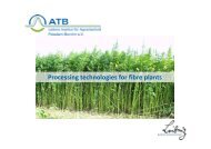 Processing technologies for fibre plants - ATB