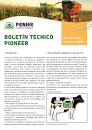 BOLETÍN TÉCNICO PIONEER