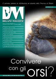 Convivere - Belluno Magazine
