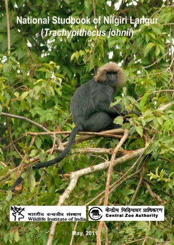 Nilgiri Langur: Biology and Status - Central Zoo Authority