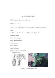 9 II. TINJAUAN PUSTAKA 2.1 Talas (Colocasia esculenta L. Schoott ...