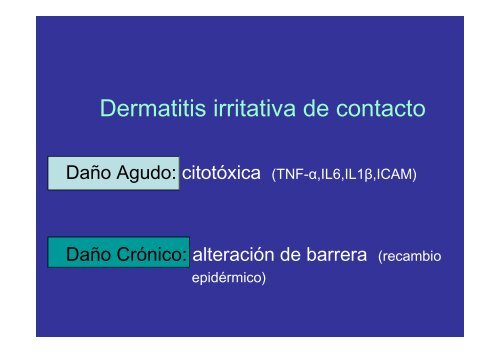 Eczemas de contacto