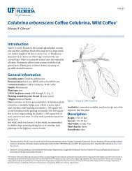 Colubrina arborescens Coffee Colubrina, Wild Coffee1 - EDIS ...