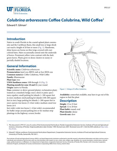 Colubrina arborescens Coffee Colubrina, Wild Coffee1 - EDIS ...