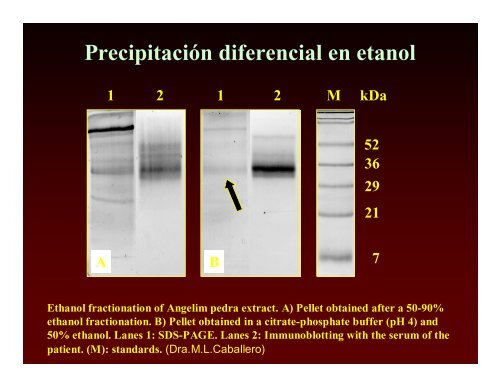 Dr. Enrique Alday Figueroa - Secretaría del Trabajo y Previsión Social