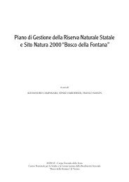 Piano di Gestione della Riserva Naturale Statale e Sito Natura 2000 ...