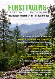 Nachhaltige Forstwirtschaft im Hochgebirge - Forstverein