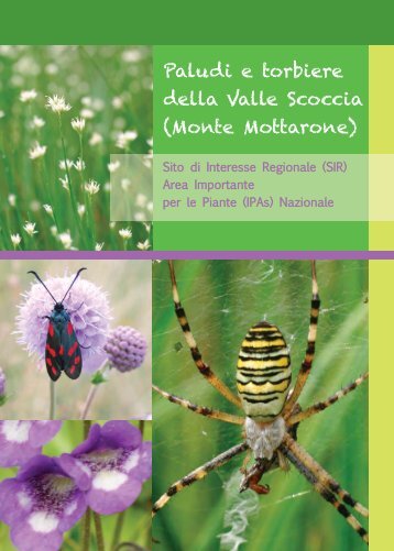 Paludi e torbiere della Valle Scoccia (Monte Mottarone) - Società di ...