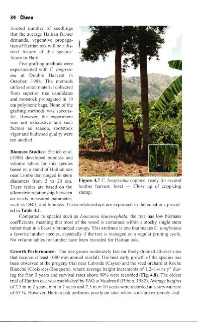 Important Trees of Haiti