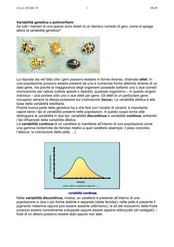 Polimorfismi e fattore V di Leiden - ZyXEL NSA210