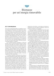 Biomasse per un'energia rinnovabile