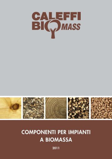 COMPONENTI PER IMPIANTI A BIOMASSA - Coassifin.it