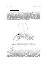 C2 - UVT-CBG-Biologie