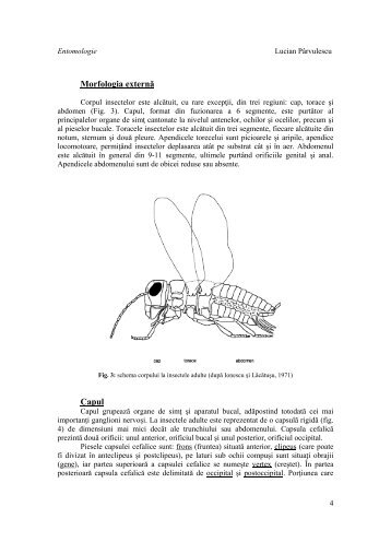 C2 - UVT-CBG-Biologie