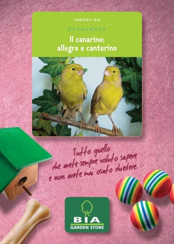 Il canarino: allegro e canterino - Bia Garden Store S.r.l.