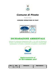 dichiarazione ambientale - Comune di Pineto