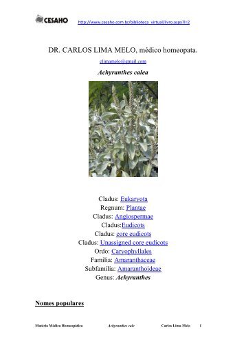 Achyranthes calea - cesaho