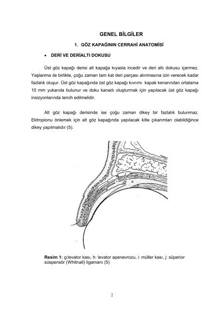 göz kapağı ve çevresi bazal hücreli karsinomlarında cerrahi tedavi ...