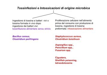 Tossinfezioni e Intossicazioni batteriche - Salentoagroalimentare.Eu