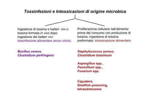 Tossinfezioni e Intossicazioni batteriche - Salentoagroalimentare.Eu