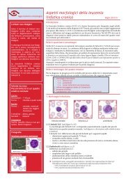 Aspetti morfologici della leucemia linfatica cronica - mqzh