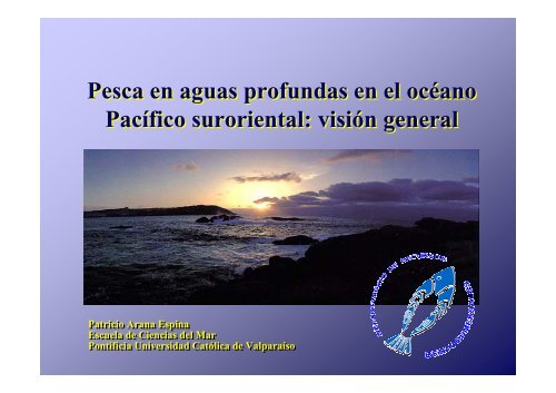 Pesca en aguas profundas en el océano Pacífico suroriental - Imarpe