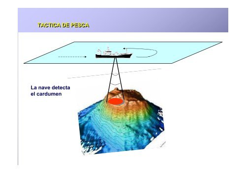 Pesca en aguas profundas en el océano Pacífico suroriental - Imarpe