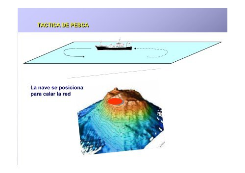 Pesca en aguas profundas en el océano Pacífico suroriental - Imarpe