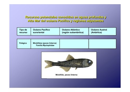 Pesca en aguas profundas en el océano Pacífico suroriental - Imarpe