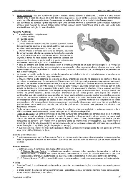 Manual de Mergulho - nasal - Universidade dos Açores