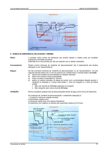 Manual de Mergulho - nasal - Universidade dos Açores