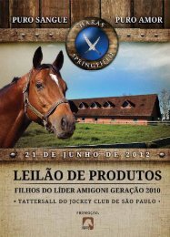 Haras Springfield - Tattersall do JCSP - Raia Leve