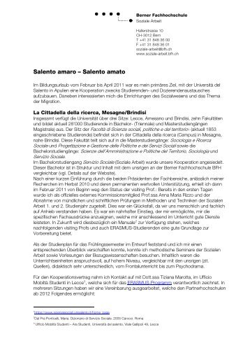 Bericht als PDF - Berner Fachhochschule