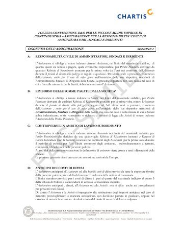 wording D&O Mizar per PMI Confindustria_09.08_Chartis