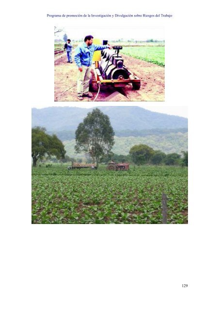 Tabaco, Mercado de Trabajo y Cultura en Jujuy - 2009 - Catálogo ...