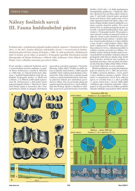 Článek v PDF ke stažení - Živa