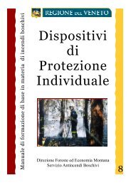 copertina dpi.pub - Regione Veneto