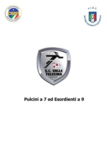 Lezioni Pulcini a 7 ed Esordienti a 9 - Scuola Calcio Valle Telesina