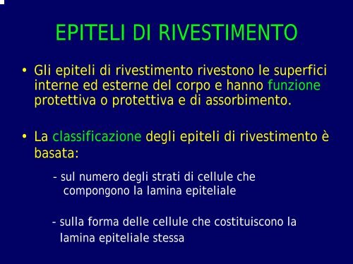 tessuto epiteliale di rivestimento